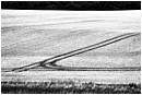 For The Greater Good - for-the-greater-good.jpg click to see this fine art photo at larger size