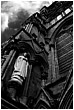 Forever Watching - forever-watching.jpg click to see this fine art photo at larger size