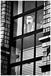 Where's Wallace Got To? - grommet-waiting-for-wallace.jpg click to see this fine art photo at larger size