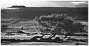 Growing Up Is Hard - growing-up-is-hard.jpg click to see this fine art photo at larger size