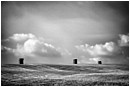 Hay303 Stacks - hay303-stacks.jpg click to see this fine art photo at larger size