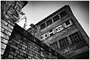 IH8U, Once Proud - ihsu.jpg click to see this fine art photo at larger size
