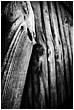 Lap Panel 13-2 - lap-panel-13-2.jpg click to see this fine art photo at larger size