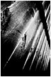 Lap Panel 13-1 - lap-panel-13.jpg click to see this fine art photo at larger size