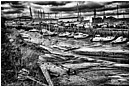 Low Tide Creek - low-tide-creek.jpg click to see this fine art photo at larger size
