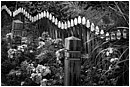 Marken Pavement Garden - marken-pavement-garden.jpg click to see this fine art photo at larger size
