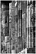 Fluted Parthenon Columns - parthenon-columns.jpg click to see this fine art photo at larger size