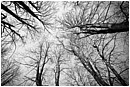 Routes Into The Sky - routes-to-the-sky.jpg click to see this fine art photo at larger size