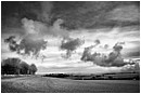 Sky Lambs - sky-lambs.jpg click to see this fine art photo at larger size