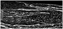 Stream of Consciousness - stream-of-consciousness.jpg click to see this fine art photo at larger size