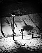 Thankyou for.. Waiting? - thankyou-for-waiting.jpg click to see this fine art photo at larger size