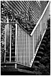 Ticking Lines - ticking-lines.jpg click to see this fine art photo at larger size