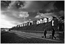 Walking The Dogs - walking-the-dogs.jpg click to see this fine art photo at larger size