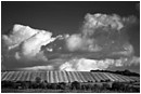 Wiltshire Field Post Harvest - wiltshire-field-post-harvest.jpg click to see this fine art photo at larger size